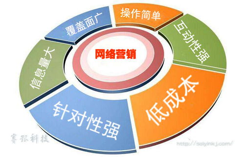 賽銀科技 網(wǎng)絡(luò)營(yíng)銷現(xiàn)狀及未來(lái)發(fā)展趨勢(shì)